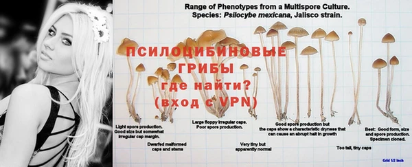 трава Белоозёрский